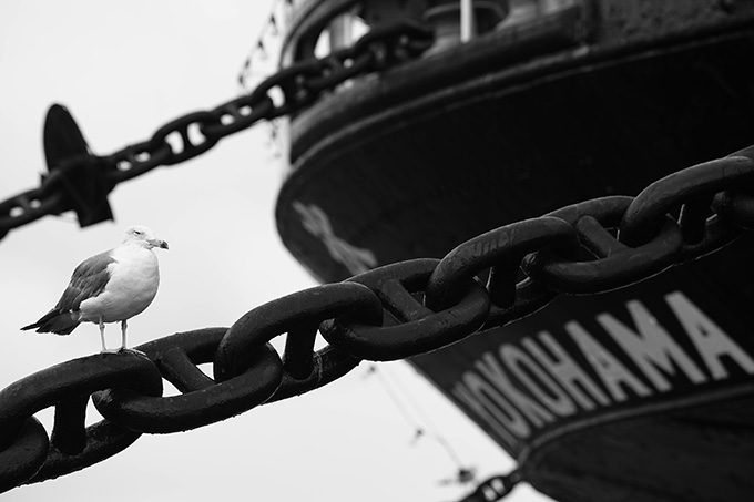 V󂳂ɂłIF̎񂪂ȂȂ闘_