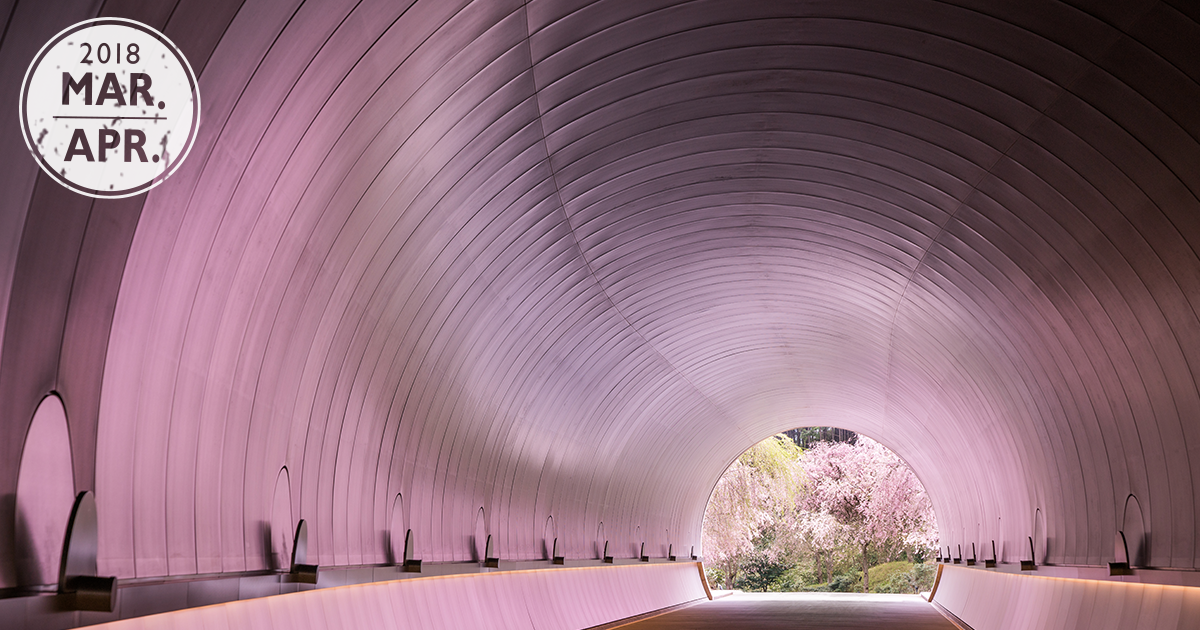 さくらトンネル 反射する美、桜リフレクション。 | 月刊「旅する大人のソニー」 | ソニー