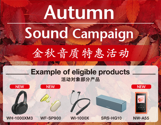 Autumn Sound Campaign