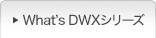 What's DWX