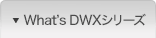 What's DWX