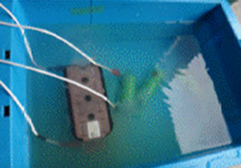 �����Z�������̎ʐ^