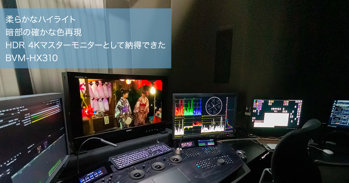 _炩ȃnCCg Õ̊mȐFČ HDR 4K}X^[j^[ƂĔ[łBVM-HX310