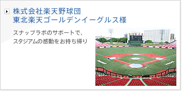 ������Њy�V�싅�c�@���k�y�V�S�[���f���C�[�O���X�l | �X�i�b�v���{�̃T�|�[�g�ŁA�X�^�W�A���̊������������A��