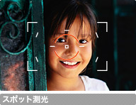 �X�|�b�g����