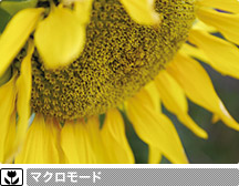 �}�N�����[�h