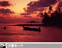 �[�i���[�h