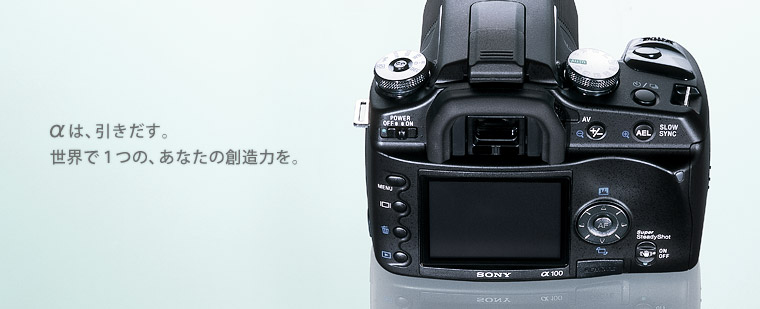 SONY α100 デジタルカメラ　0.38m/1.3ft MACROレンズ付