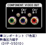 �R���|�[�l���g(Y�F��)�f���o�͒[�q(DVP-S501D)