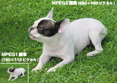 MPEG2画像