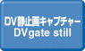 DVgate still