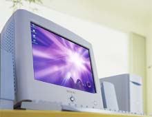 Vvɖꂽ{fBɁAoCIȂł͂̊y݂WB