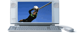 15.3^ChtfBXvCɍ킹tTCY\\B