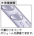 ���ʒ���