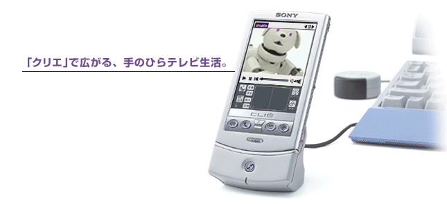 �u�N���G�v�ōL����A��̂Ђ�e���r�����B