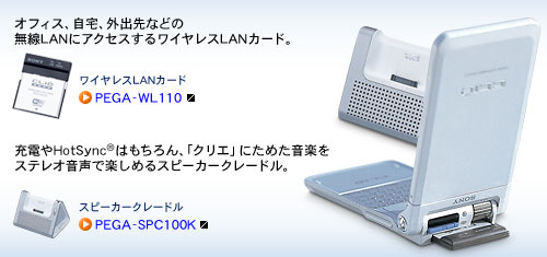 �A�N�Z�T���[