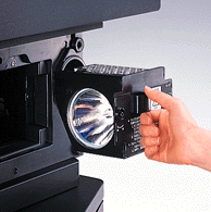 �����v����