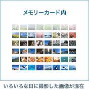 メモリーカード内 いろいろな日に撮影した画像が混在