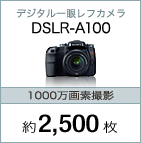 デジタル一眼レフカメラ DSLR-A100/1000万画素撮影：約2,500枚