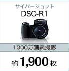 TCo[Vbg DSC-R1/1000fBeF1,900