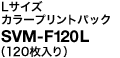 L�T�C�Y �J���[�v�����g�p�b�N SVM-F40L�i120������j