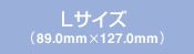 L�T�C�Y�i89.0mm�~127.0mm�j