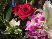 �C���[�W��1