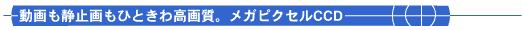���K�s�N�Z��CCD