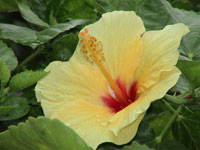 �Î~��T���v��2