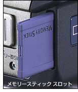 �hC�L�^���f�B�A�g�������[�X�e�B�b�N�h�𒼐ڍ������߂�B�g�������[�X�e�B�b�N�h�X���b�g����