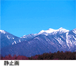 *�J�����N���}�L�[ �T���v��*