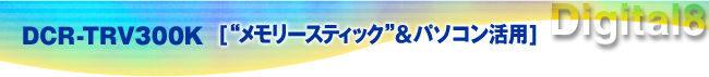 DCR-TRV300K[�������[�X�e�B�b�N���p�\�R�����p]