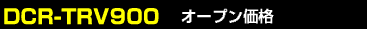 DCR-TRV900