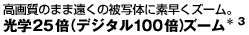 ���w25�{�i�f�W�^��100�{�Y�[���j