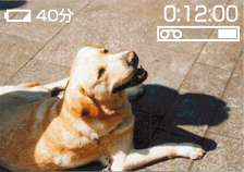 �o�b�e���[�c�ʂƃe�[�v�c�ʂ̕\����