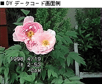 DV�f�[�^�R�[�h��ʗ�