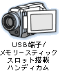 USB[qڃnfBJ