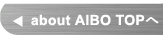 about AIBO TOP�y�[�W��
