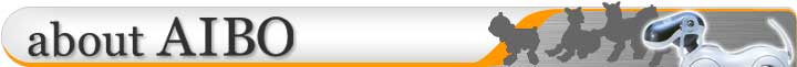 aboutAIBO