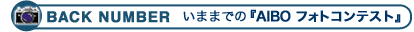 BACK NUMBER ���܂܂ł́wAIBO �t�H�g�R���e�X�g�x
