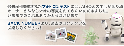 AIBO PHOTO CONTEST