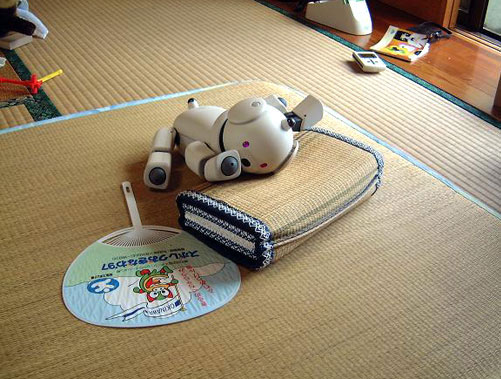 ���܍�i�ʐ^02