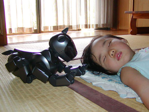 ���܍�i�ʐ^03