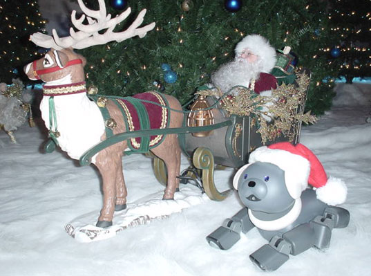 ���܍�i�ʐ^01