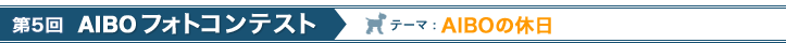 ��5��AIBO �t�H�g�R���e�X�g