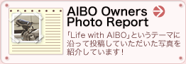 AIBO Owners Photo Report