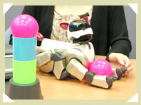 �h�[�^�[�E�R�p����̃I�t�B�X�ɂ�