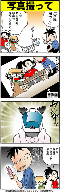 �ʐ^�B����