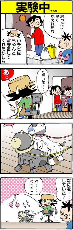 �������ł���