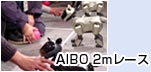 AIBO 2m[X
